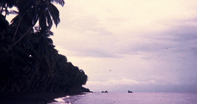 ominous looking palm-lined coastline Equatorial Guinea, black sand beach
