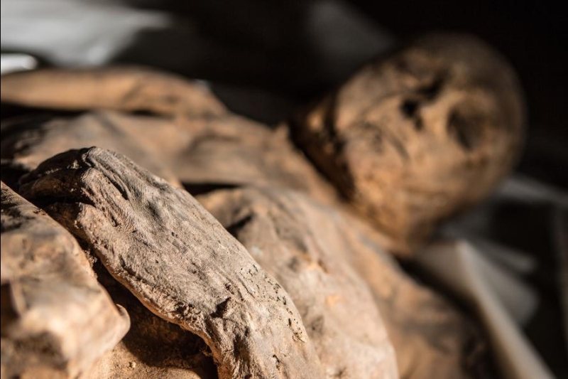 naturally mummified remains in Lithuanian crypt